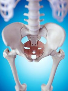 pelvic-floor