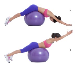 back-extension-exercise-1