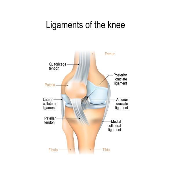 Knee Sprain – What Is It?