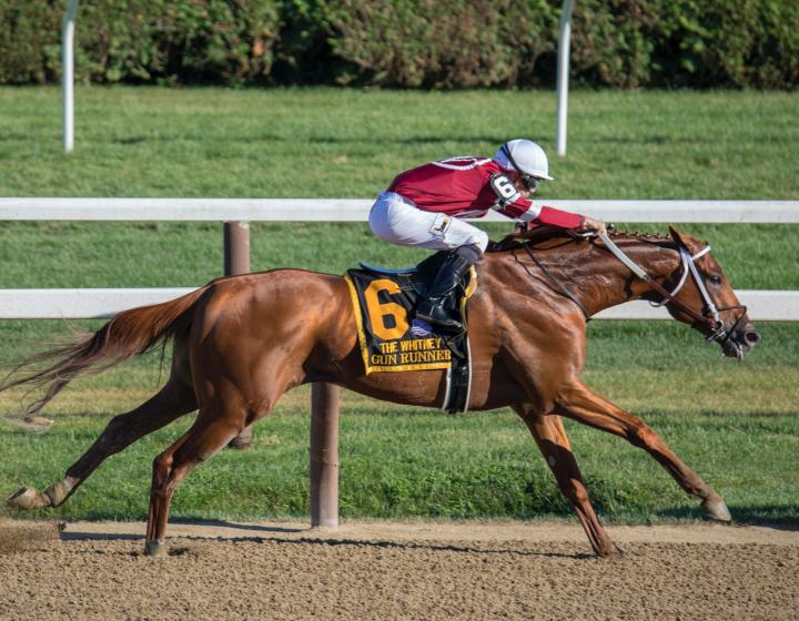 Treating the Equine Athlete