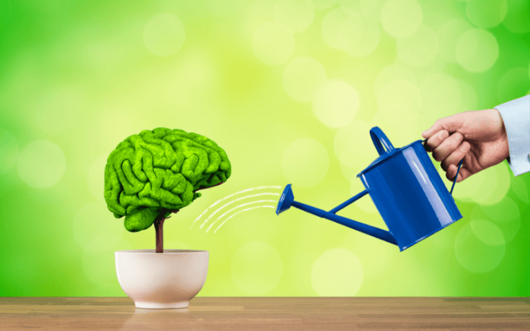 How to Maintain a Healthy Brain
