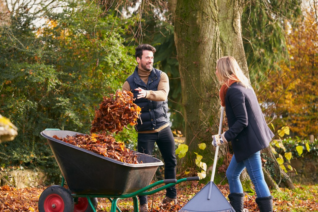 Get Fit with Fun Fall Activities - Sports Medicine Weekly By Dr. Brian Cole