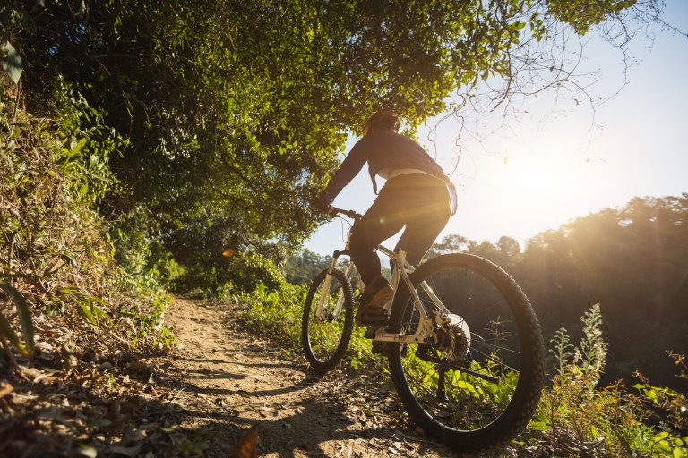Tips for New Mountain Bikers: Getting Started on the Trails