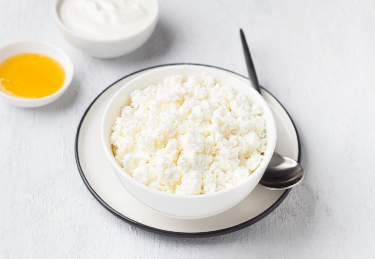 Exploring the TikTok Cottage Cheese and Mustard Diet