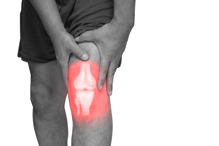Understanding Meniscal Transplantation