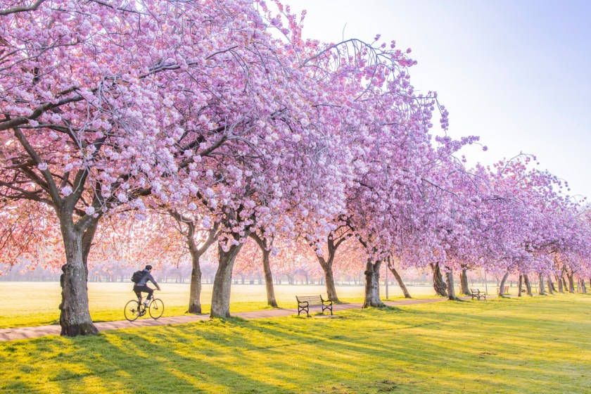 Spring Reset: Refresh Your Body, Mind & Health!