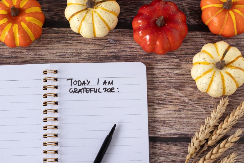 Train Your Brain with Gratitude | Brian J. Cole, MD, MBA
