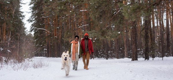 Dashing Through the Snow: How to Stay Fit During the Holidays | Brian J. Cole, MD, MBA