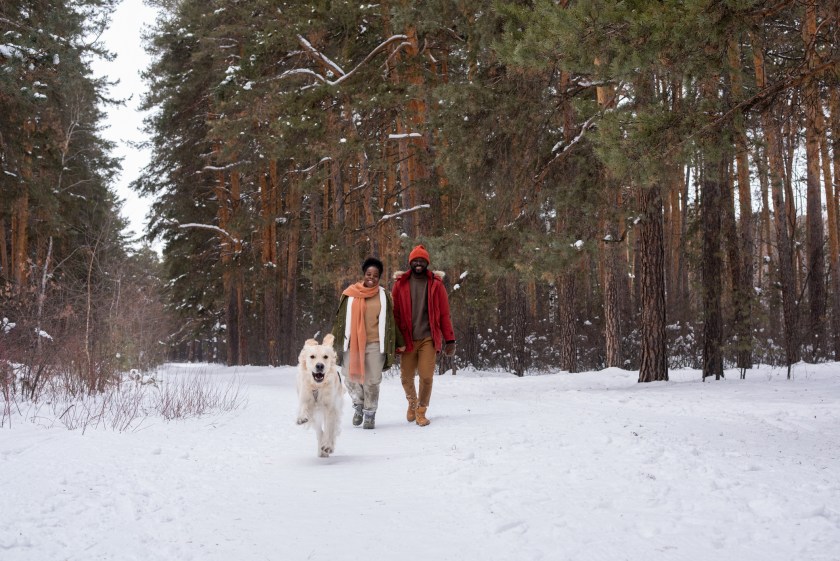 Dashing Through the Snow: How to Stay Fit During the Holidays | Brian J. Cole, MD, MBA