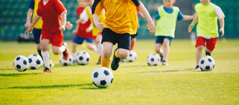 How Sports Management Shapes Health-Conscious Sports Operations